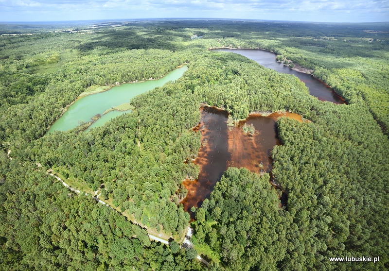 O utworzenie EUWT „Geopark Łuk Mużakowa” lubuski samorząd zabiegał sześć lat. To pierwsze tego typu ugrupowanie współpracy terytorialnej na polsko-niemieckim pograniczu.  
Jego głównym celem jest koordynacja, ułatwianie i wspieranie polsko-niemieckiej współpracy transgranicznej pomiędzy jego członkami, z korzyścią dla zrównoważonego rozwoju obszaru Geoparku Łuk Mużakowa. 
