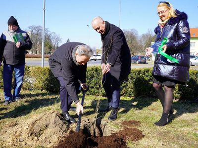 Światowy Dzień Nerek - sadzenie Drzewka Nadziei