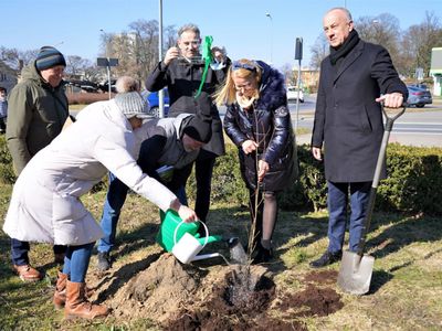 Światowy Dzień Nerek - sadzenie Drzewka Nadziei
