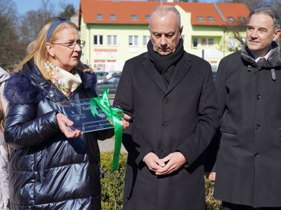 Światowy Dzień Nerek - sadzenie Drzewka Nadziei