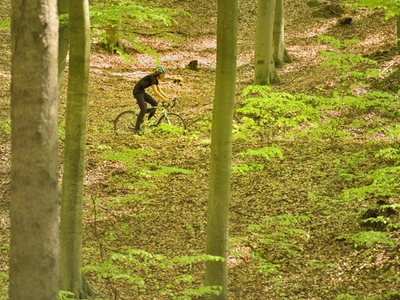 Turystyka rowerowa na terenie Łagowsko-Sulęcińskiego Parku Krajobrazowego