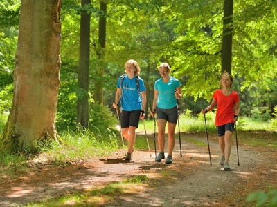 Nordic walking w lubuskim lesie