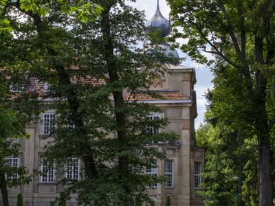 Park Dworski w Iłowej