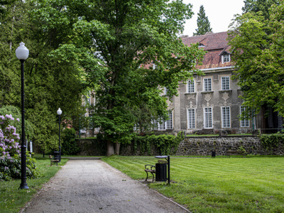 Park Dworski w Iłowej
