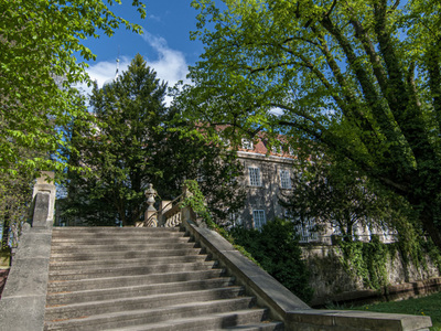 Park Dworski w Iłowej