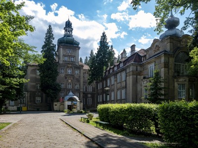 Park Dworski w Iłowej