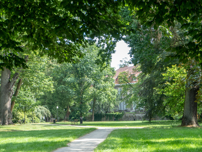 Park Dworski w Iłowej