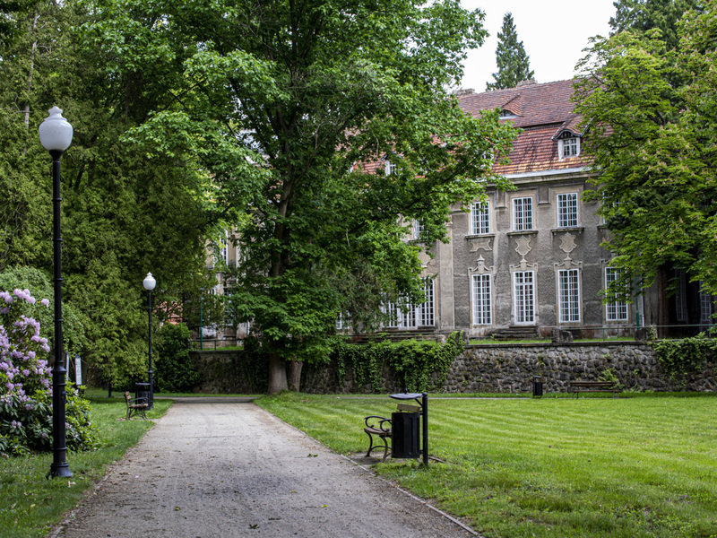 Park Dworski w Iłowej