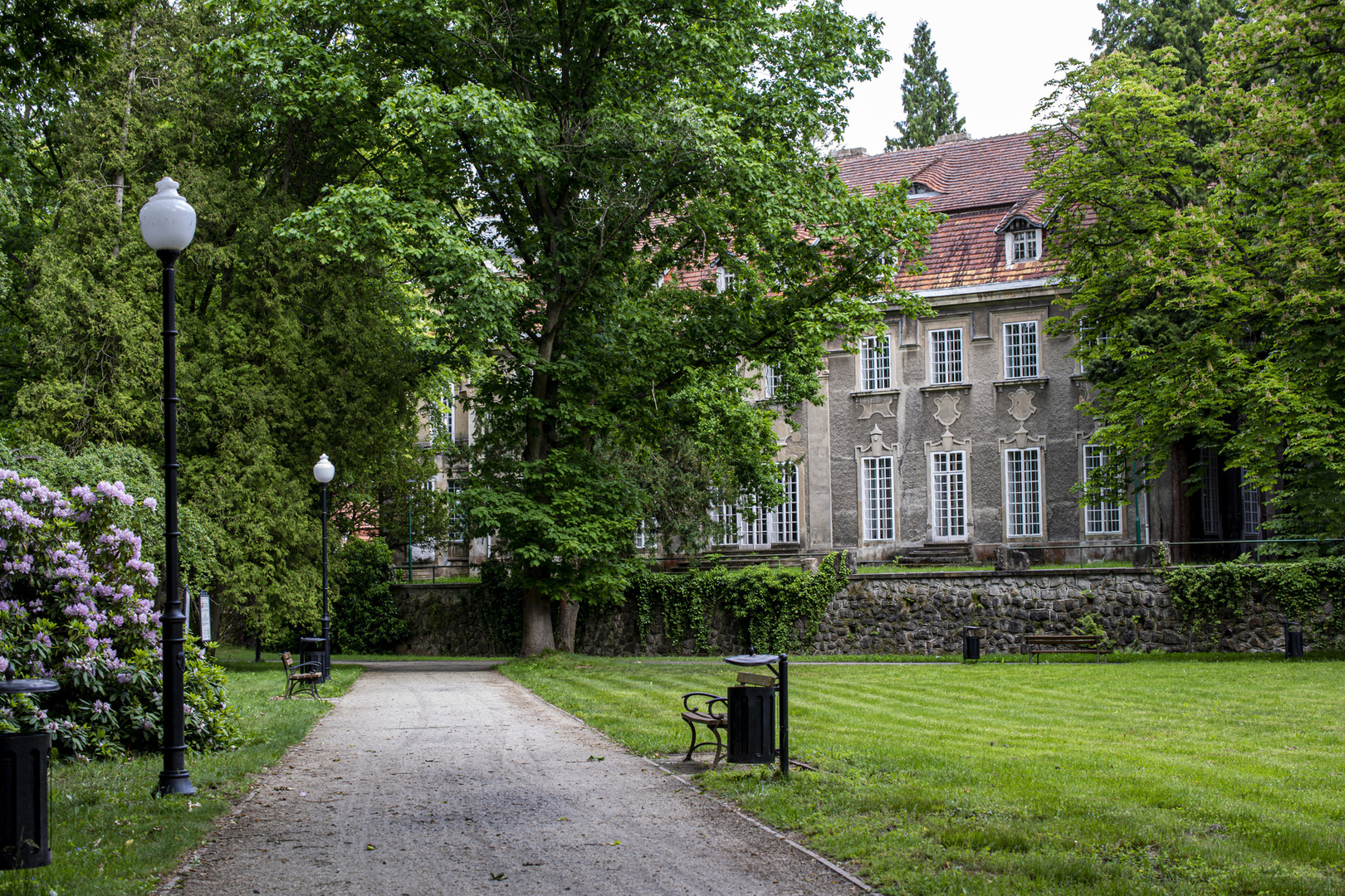 Park Dworski w Iłowej
