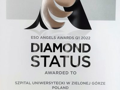 Nagroda "Diamentowy Status"