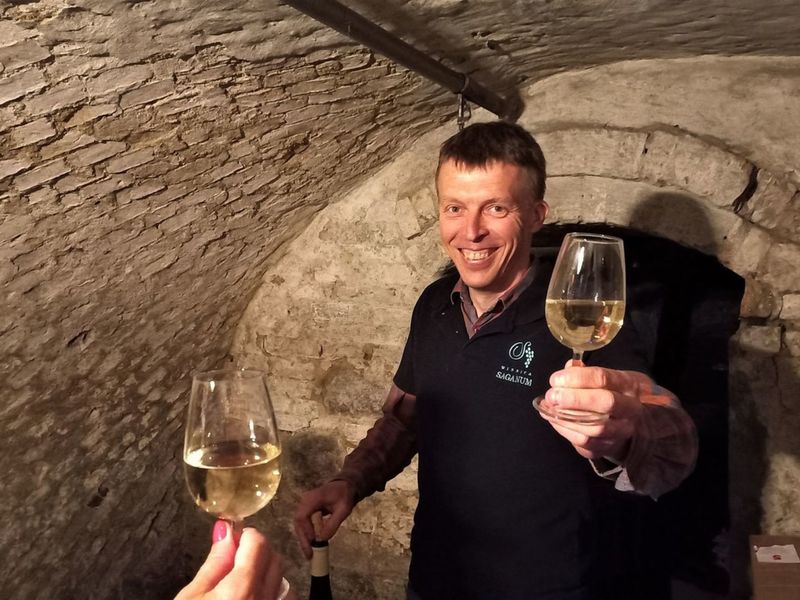 Winnicę Saganum prowadzi w podżagańskim Bożnowie Marcin Furtak