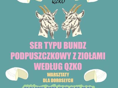 Lubuskie Centrum Produktu Regionalnego wraz z Twoim Zielonym Targiem zaprasza do udziału w kolejnej odsłonie warsztatów z producentem regionalnym. Tym razem będzie można się więcej dowiedzieć na temat sera typu bundz. 