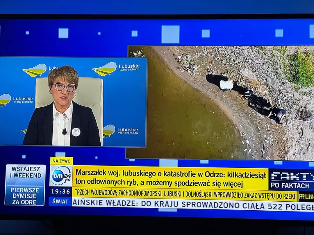 Marszałek Elżbieta Anna Polak w programie „Fakty po Faktach”