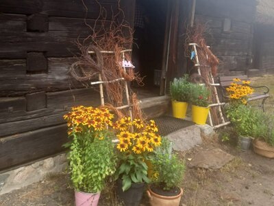 20 sierpnia 2022 r. Święto Miodu w Muzeum Etnograficzne w Zielonej Górze Ochli