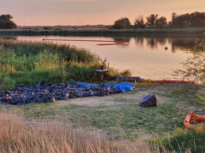Zatruta Odra