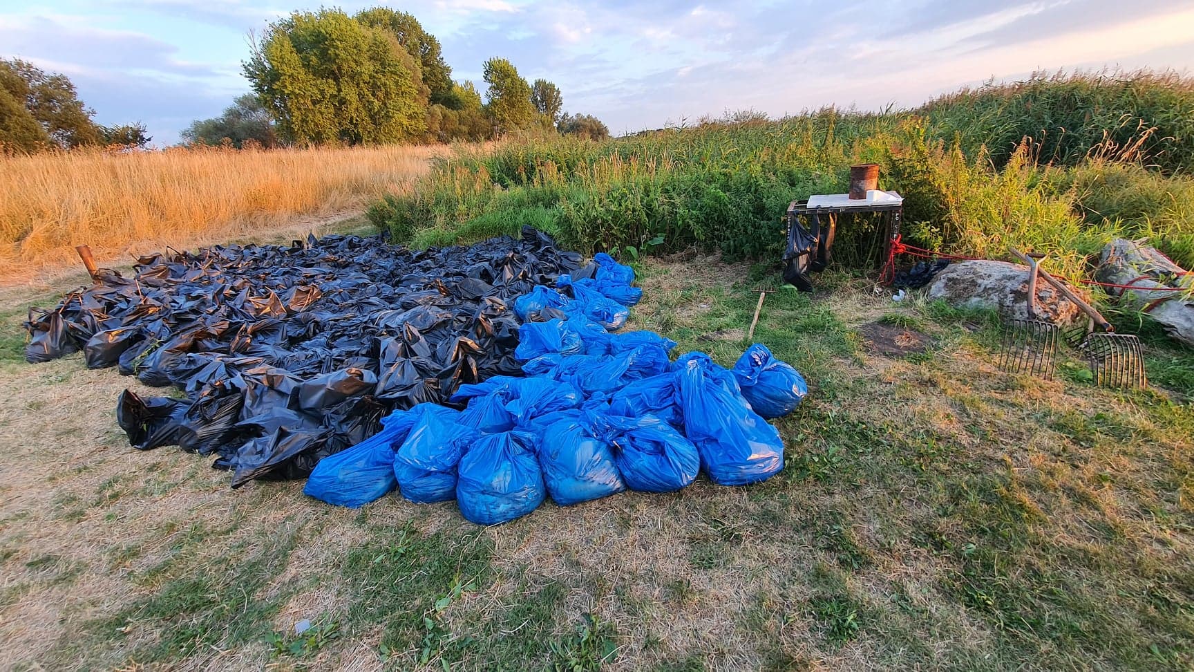Worki ze śniętymi rybami wyłowionymi z Odry