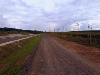 Winnica samorządowa w Zaborze