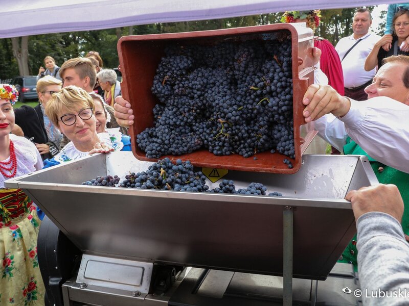 24 września 2022 r. VII Winobranie z Piknikiem Zdrowia i Profilaktyki w Lubuski Centrum Winiarstwa w Zaborze