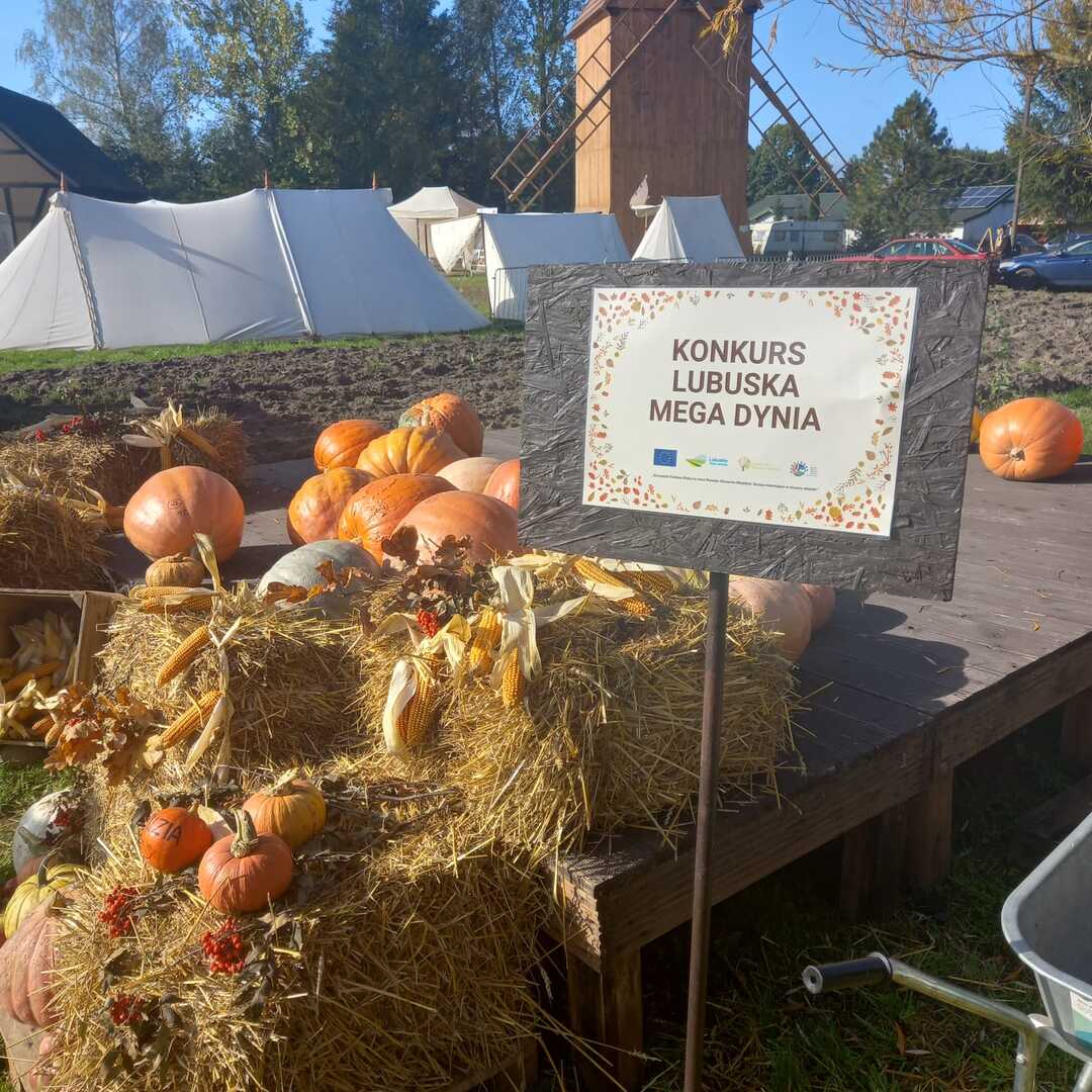 Podsumowanie konkursu