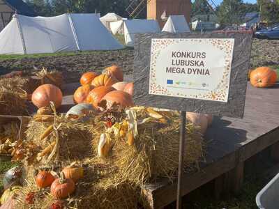 Podsumowanie konkursu "Lubuska MegaDynia"