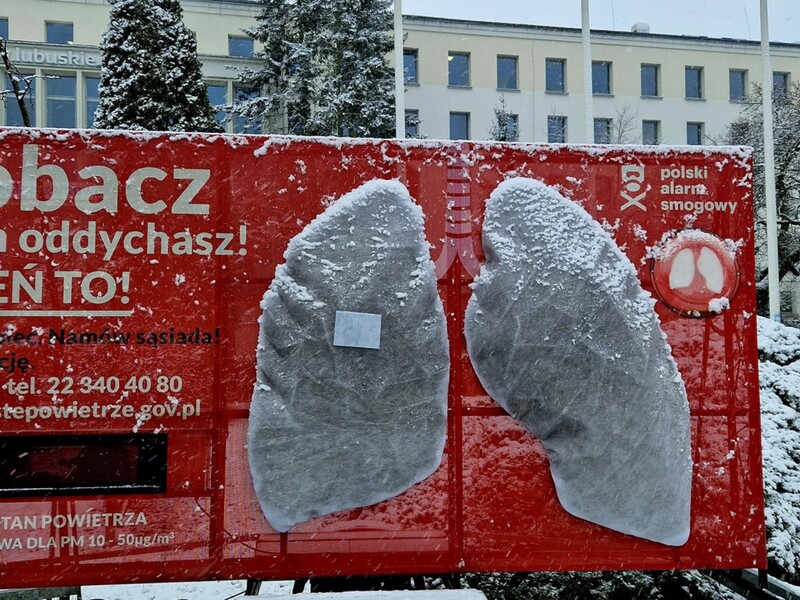 Model sztucznych płuc po dwóch tygodniach w Zielonej Górze