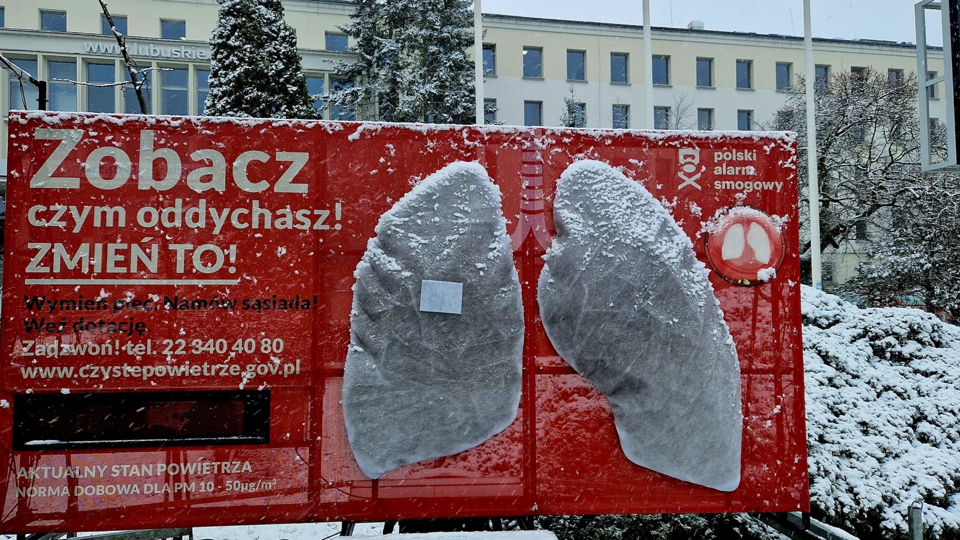 Model sztucznych płuc po dwóch tygodniach w Zielonej Górze