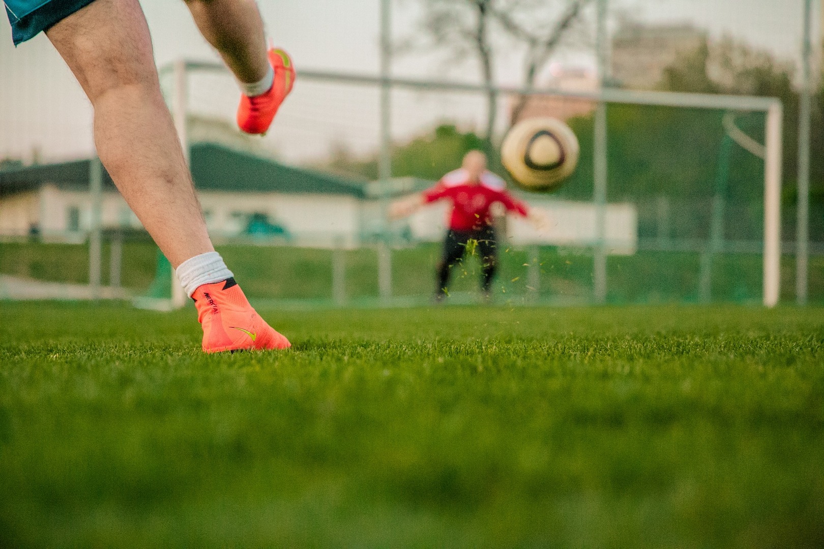 Samorząd województwa lubuskiego przeznaczył 0,5 mln zł na program nawodnienia boisk sportowych oraz budowę trybun