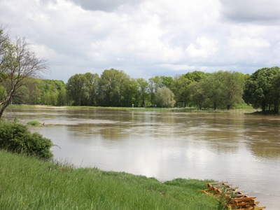 Odra