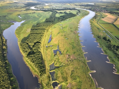 Rzeka Odra