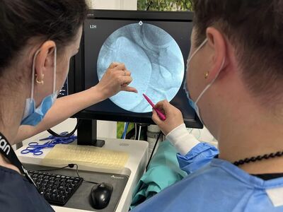 Nowa metoda walki z rakiem prostaty w gorzowskim szpitalu - brachyterapia z wszczepieniem implantów stałych