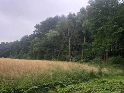 Wizyta kontrolerów w Geoparku UNESCO "Łuk Mużakowa"