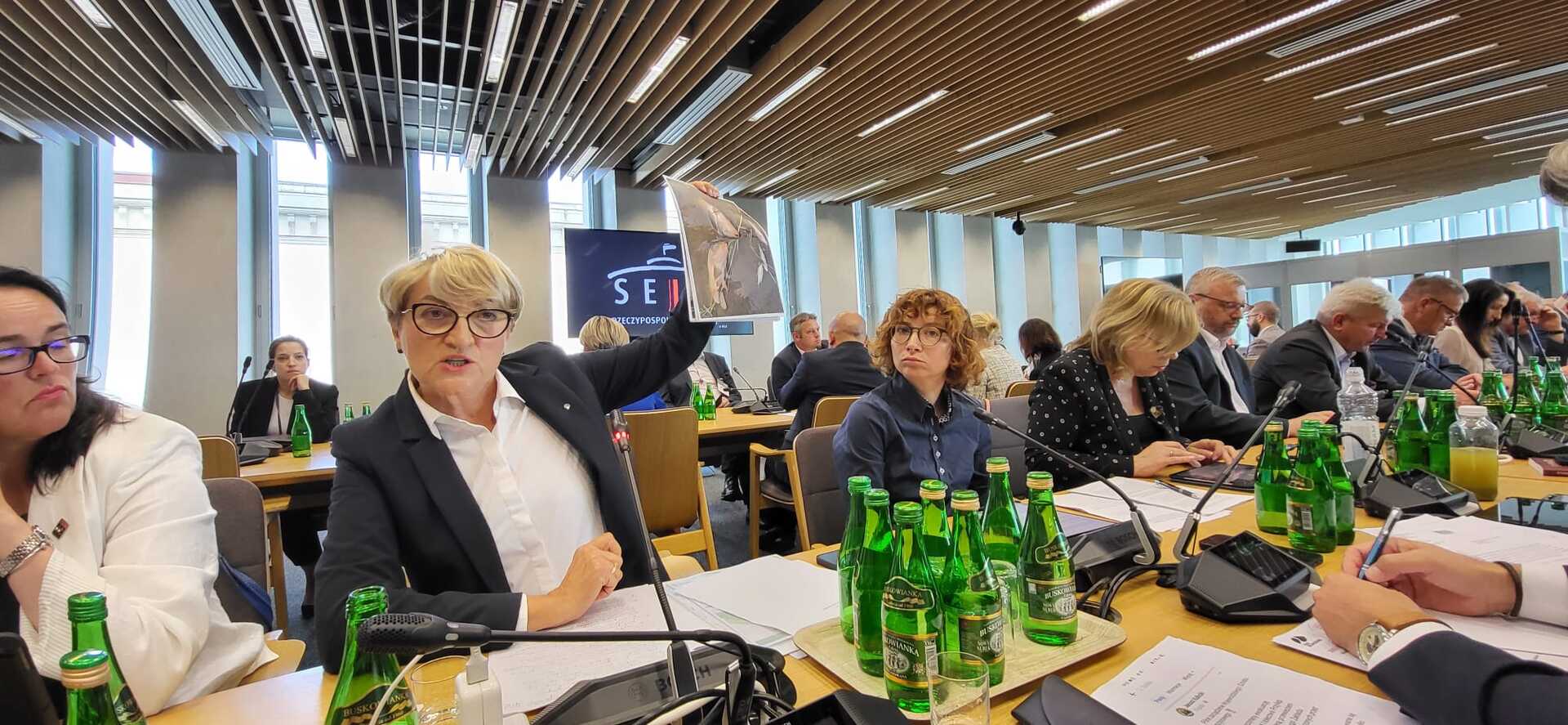 Marszałek Elżbieta Anna Polak podczas posiedzenia sejmowych komisji ws. pożaru w Przylepie