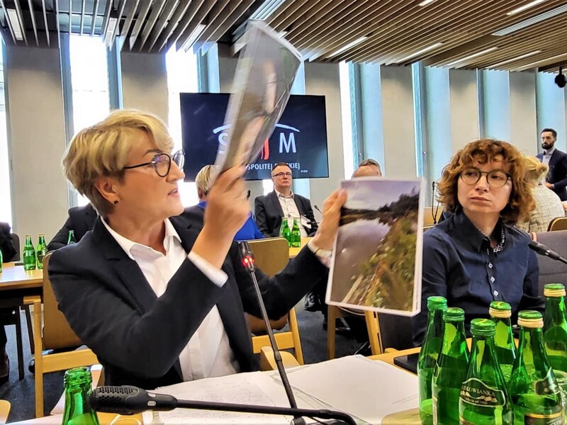 Marszałek Elżbieta Anna Polak podczas wspólnego posiedzenia komisji sejmowych