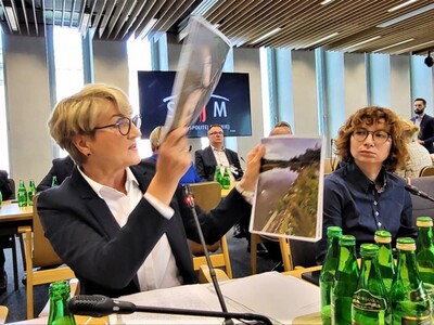 Marszałek Elżbieta Anna Polak podczas wspólnego posiedzenia komisji sejmowych