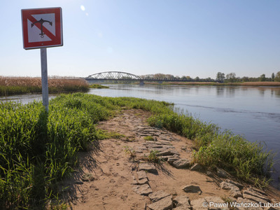 Odra w Cigacicach