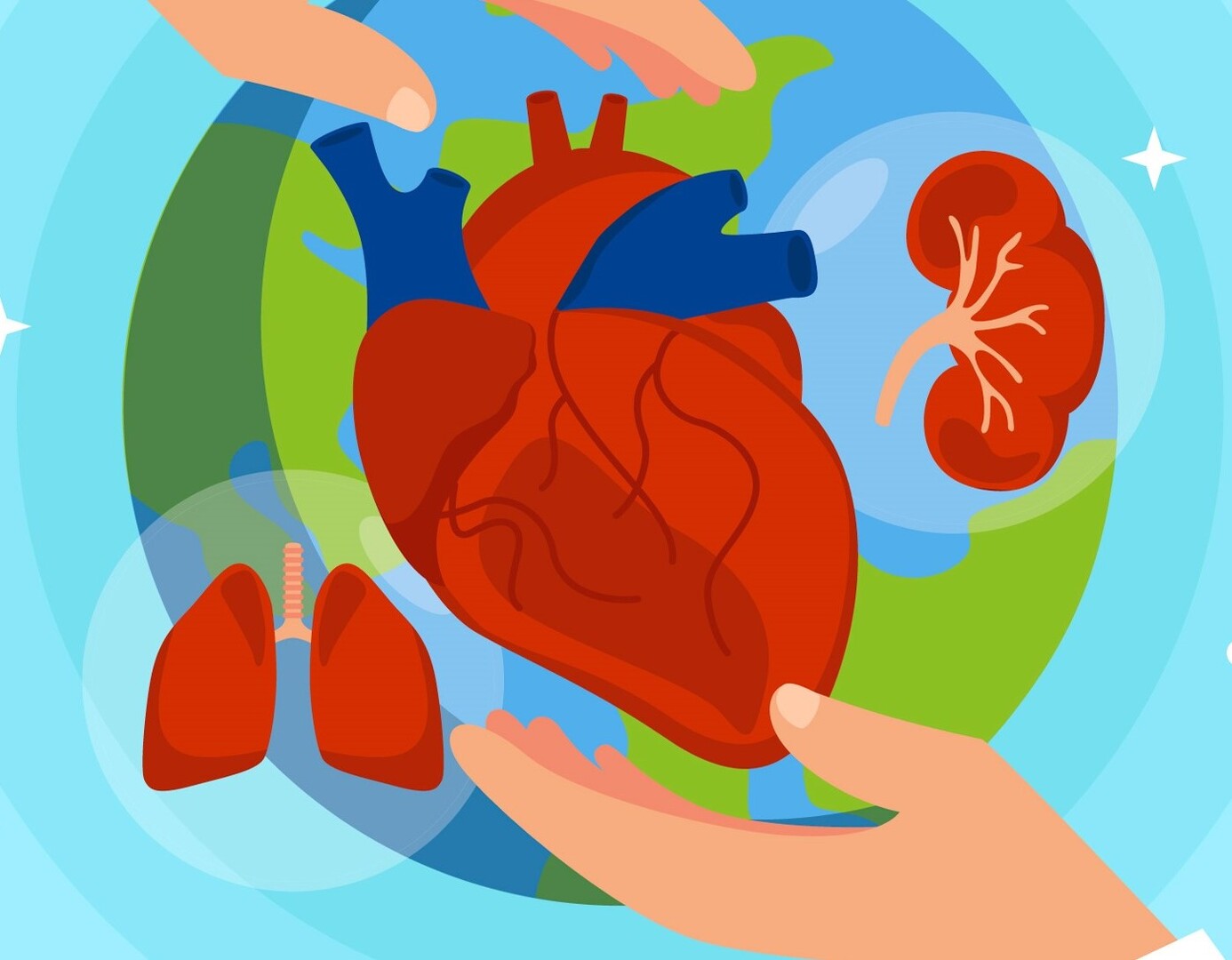 Światowy Dzień Donacji i Transplantacji