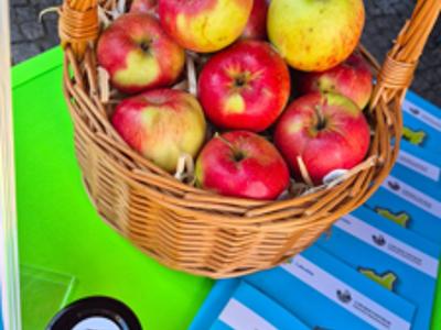 II Święto Produktu Regionalnego Powiatu Nowosolskiego