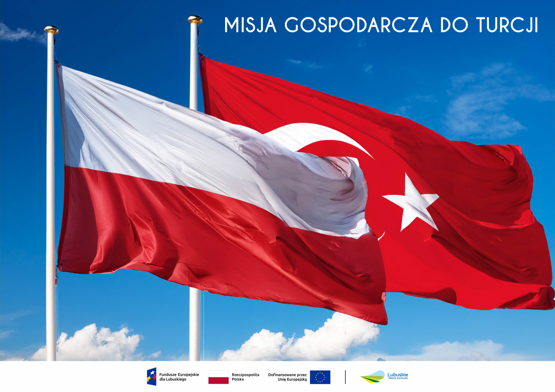 grafika turcja